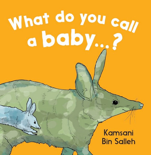 what-do-you-call-a-baby